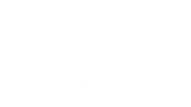 SONIWORKS Logo